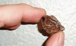 Umeboshi – No, They’re Not Shrunken Heads.
