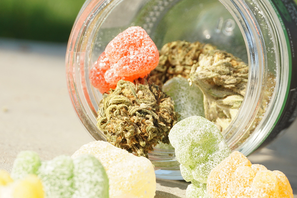 CBD gummies with the cannabis they come from