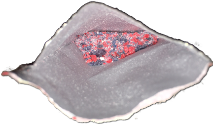 DorvalSour3