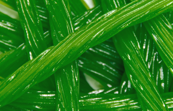 Kenny’s Fruit Twists – Are you into sweaty fake licorice?