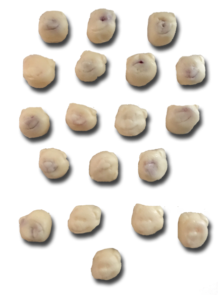 WhiteTeds2